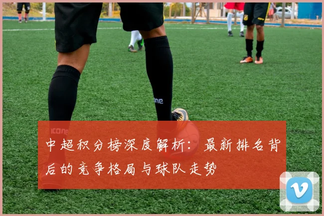 中超积分榜深度解析：最新排名背后的竞争格局与球队走势